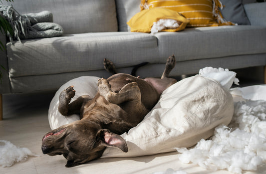 Comment Choisir le Lit Parfait ?