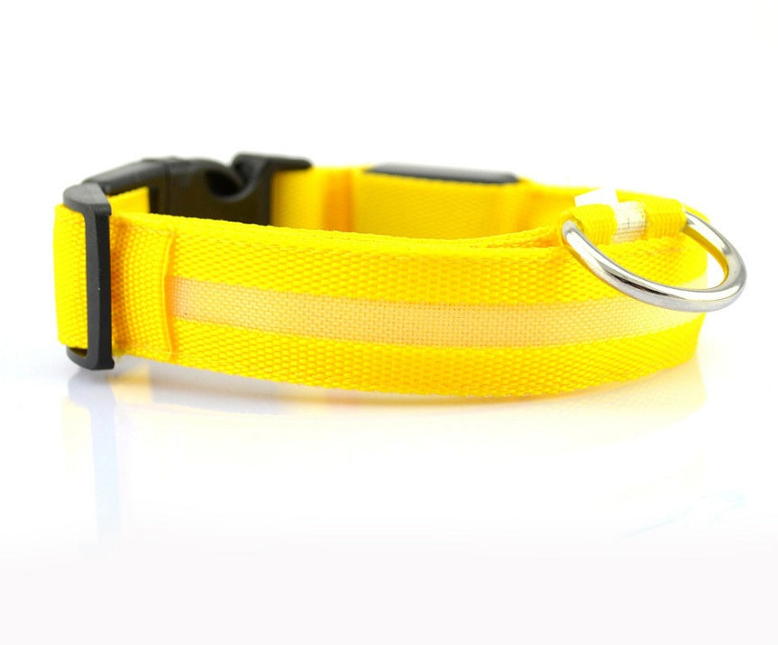 Collier lumineux LED pour chien Snooze