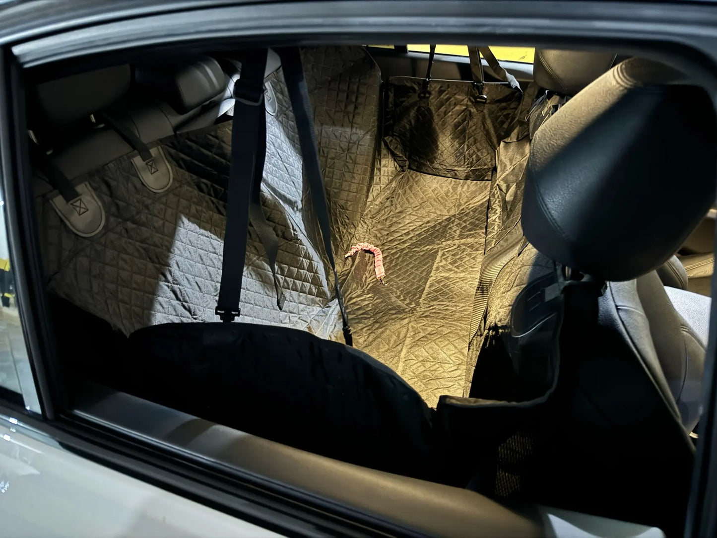 protection voiture chien